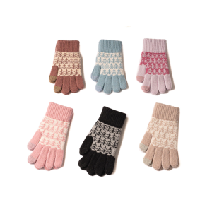 304/C GUANTES LANA TACTIL DORYA