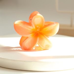 BROCHE PINZA HAWAIANA CAREY MINI 6040P1